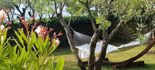 Poljane Apartment | Peace of mind N 3