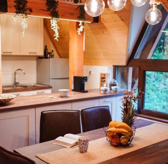 Mrkopalj Ski Chalet | Planinska kuća Vista