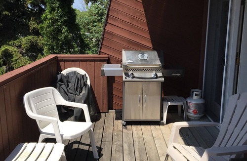 The Blue Mountains Ski Chalet | Private pool, hottub, 3 bedroom chalet near Blue Mountain Village, Collingwood