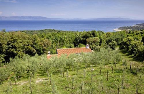 Duga Luka House | Roinizza in Prtlog (Haus für 4-5 Personen)