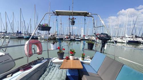 La Sauvagere Boat Rental | Sailboat land and sea, vegetated