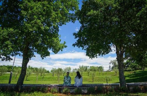 Sterna Bed & Breakfast | Stancija Ruseti
