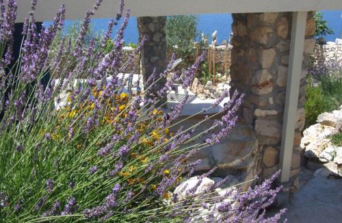 Sevid Apartment | Stone house Marina-SEVID, 1 house-1 apartment