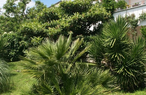 Dramalj Apartment | Studio flat with terrace and sea view Dramalj, Crikvenica (AS-5534-b)