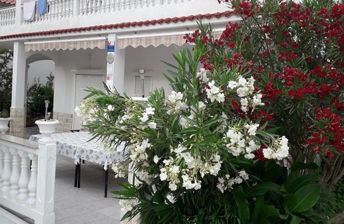 Banjol Apartment | The Apartment is on the Ground Floor - 1 Entire Floor 110 m2