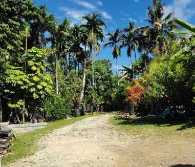 Koror Bed & Breakfast | The Dudek's Nest B&B