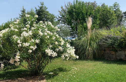Gondolici House | Villa Bella Malini