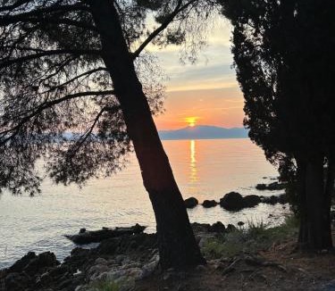 Pinezici Villa | Villa Korina