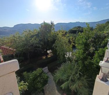 Petraca Villa | Villa Maslina
