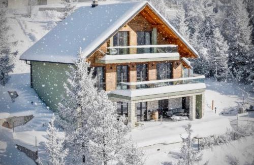 Ravna Gora Villa | Villa Stella Verde - Wellness Villa with a swimming pool, hot tub and sauna
