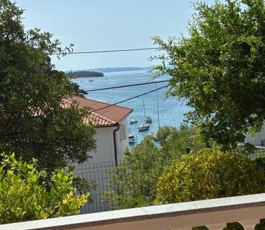 Palit Apartment | Villa Tatjana, Rab