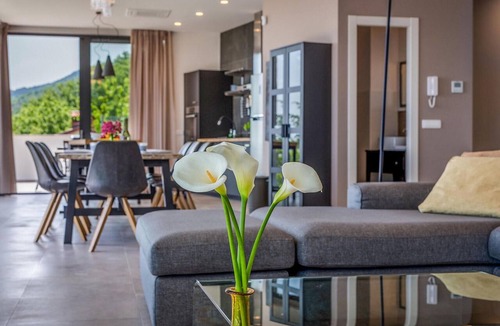 Poljane House | Villa The View Opatija