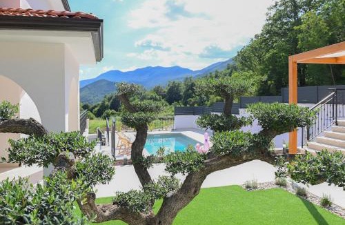 Veprinac Villa | Villa Verde Blu - private heated pool and billiard