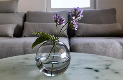 Rukavac Apartment | VisitAylinVis