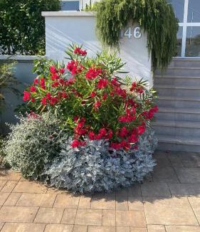 Banjole Apartment | Volme Resort