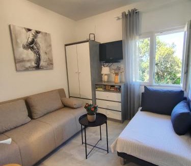 Donje Selo House | Weekend house Olive garden