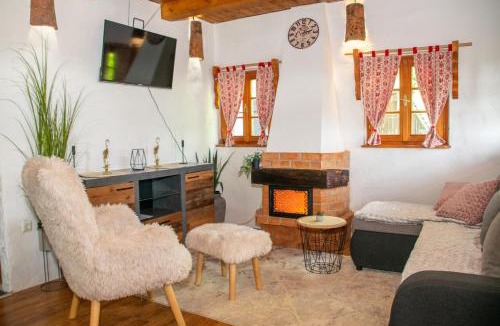 Krapina-Zagorje Apartment | Wine Hill House Trsek with Jacuzzi