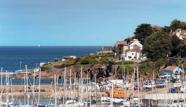 1 bedroom accommodation in Brixham