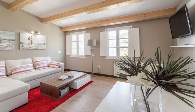 2 bedroom apartment -150 m. cathedral - garden, terrace, wifi, elevator - P3