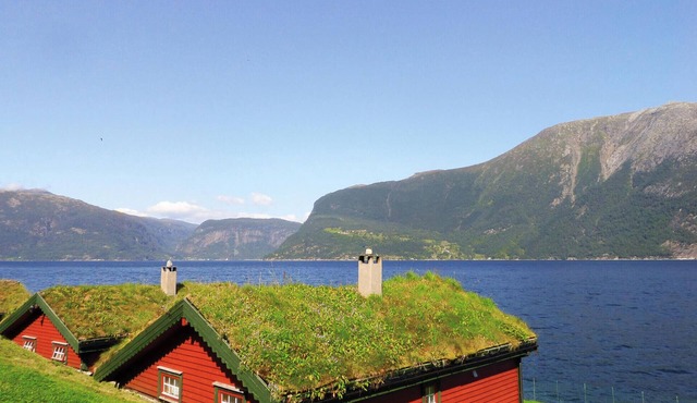 2 bedroom cozy home in Utne