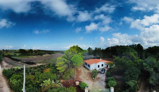 2 Bedroom Villa in Calasetta