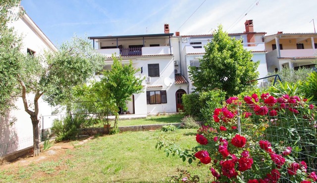 3-bedroom apartment in village Vinkuran