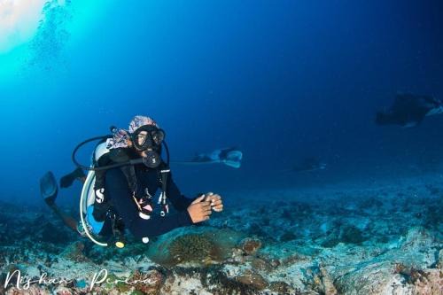 Addu Scuba Dive