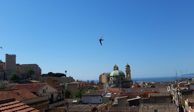 Ancient viewes of Cagliari