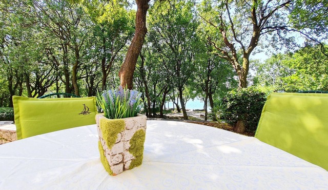 Apartment Morska oaza (84351-A1) - Klenovica (Novi Vinodolski)