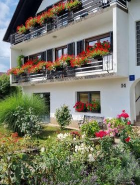 Apartman Bosco