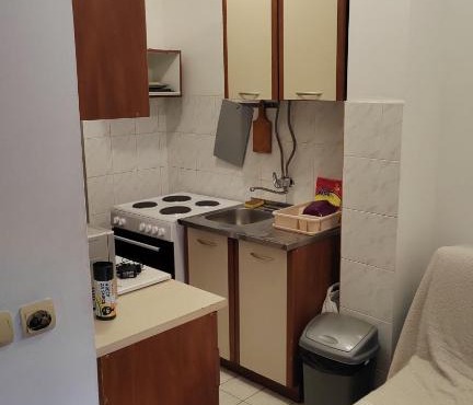 Apartman Lazarevic Zarkovo 2
