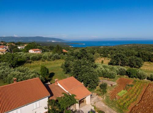Apartman Viridis