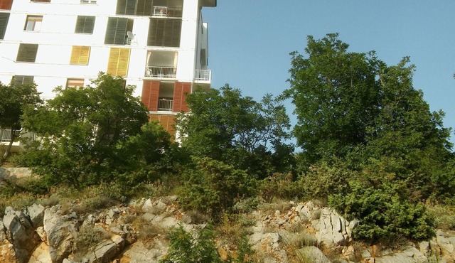 Apartment Anđela (48031-A1) - Senj