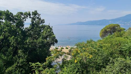 Apartment Antonija with seaview