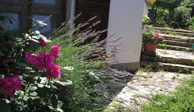 Apartment Motovun 1 comfortable, spaceous, garden, terrace. view, parking