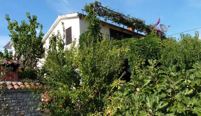 Apartment Zeljko