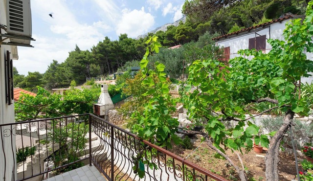 Apartments Andi (113681-A2) - Marusici