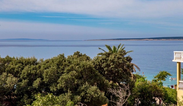 Apartments Cathy (11089-A3) - Mandre - island Pag