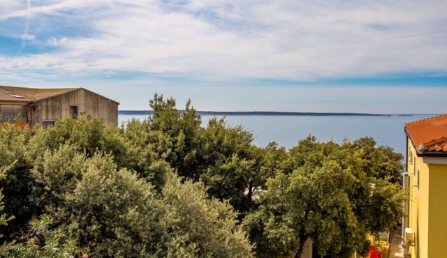 Apartments Cathy (11089-A4) - Mandre - island Pag