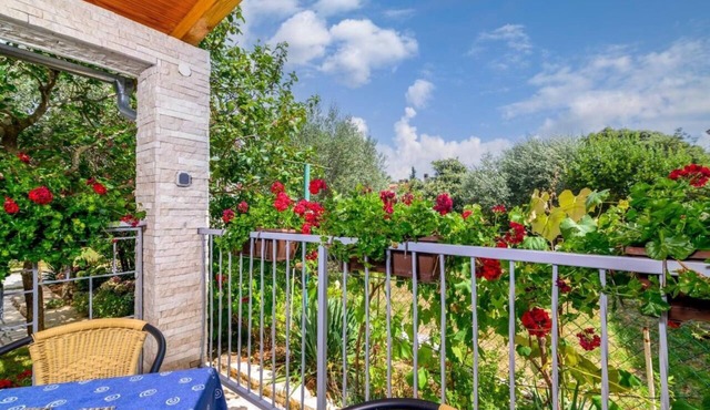 Apartments Katrina (108971-A1) - Kavran