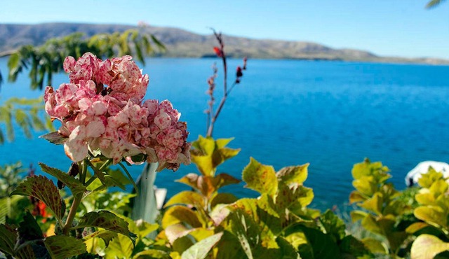 Apartments Ljubica (90181-A2) - Metajna - island Pag