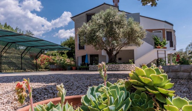 Apartments Villa Ana