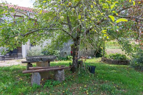 Apartments with parking space Buzet, Central Istria - Sredisnja Istra - 17333