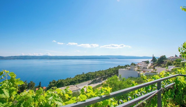 Apartments Zorica (11077-A2) - Marusici
