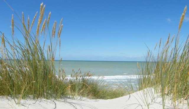 Auberge de la Dune