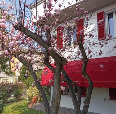 BF SUITE Foresteria Bellusci
