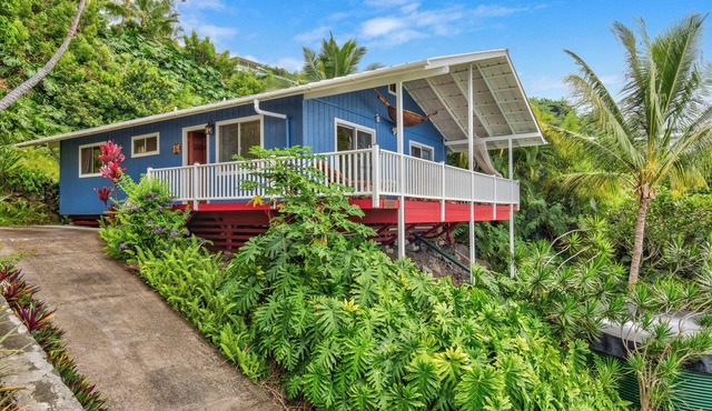Big Island Paradise