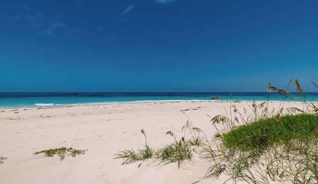 Bohemia, a Collection of Gorgeous Beachfront Bungalows