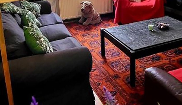 Bright studio near Zaventem airport
