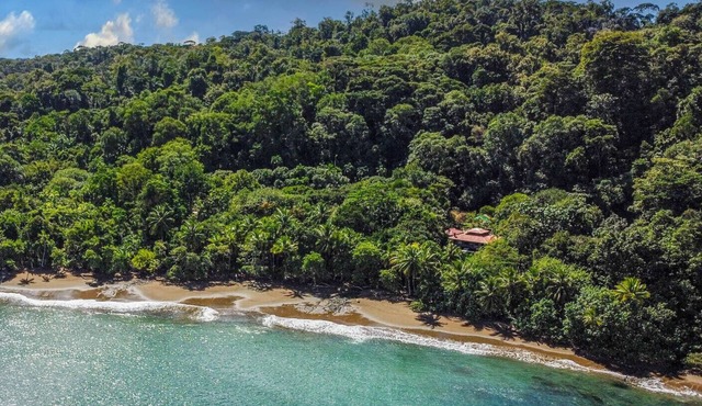 Casa Nirvanita - A Little Biological Jewel by the Sea